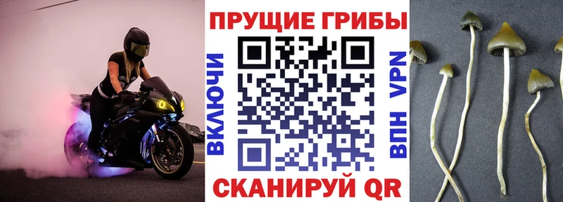 Псилоцибиновые грибы мухоморы  Старый Оскол 